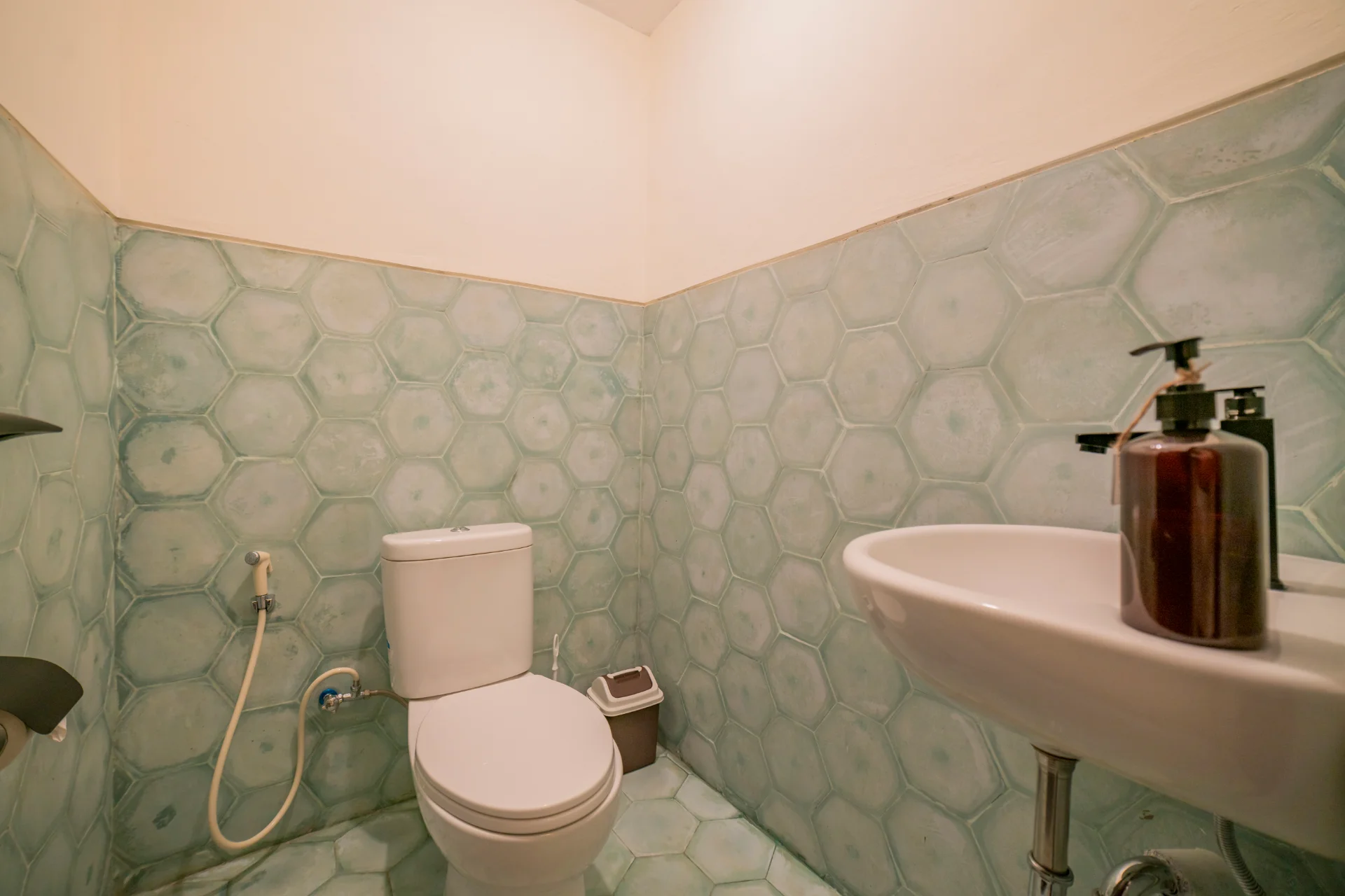 Photo 6
